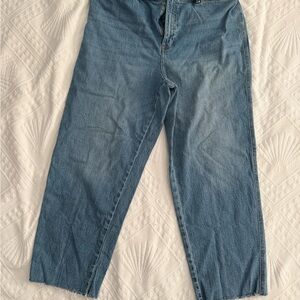 Talbots Blue Ankle Jeans